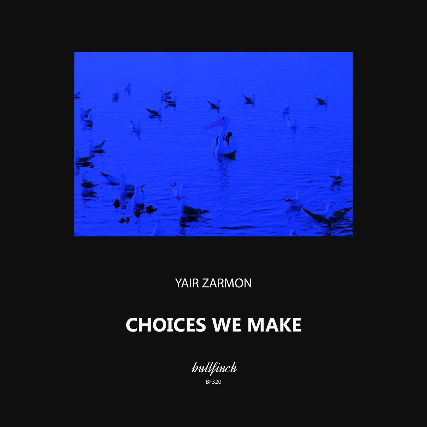 Yair Zarmon – Choices We Make