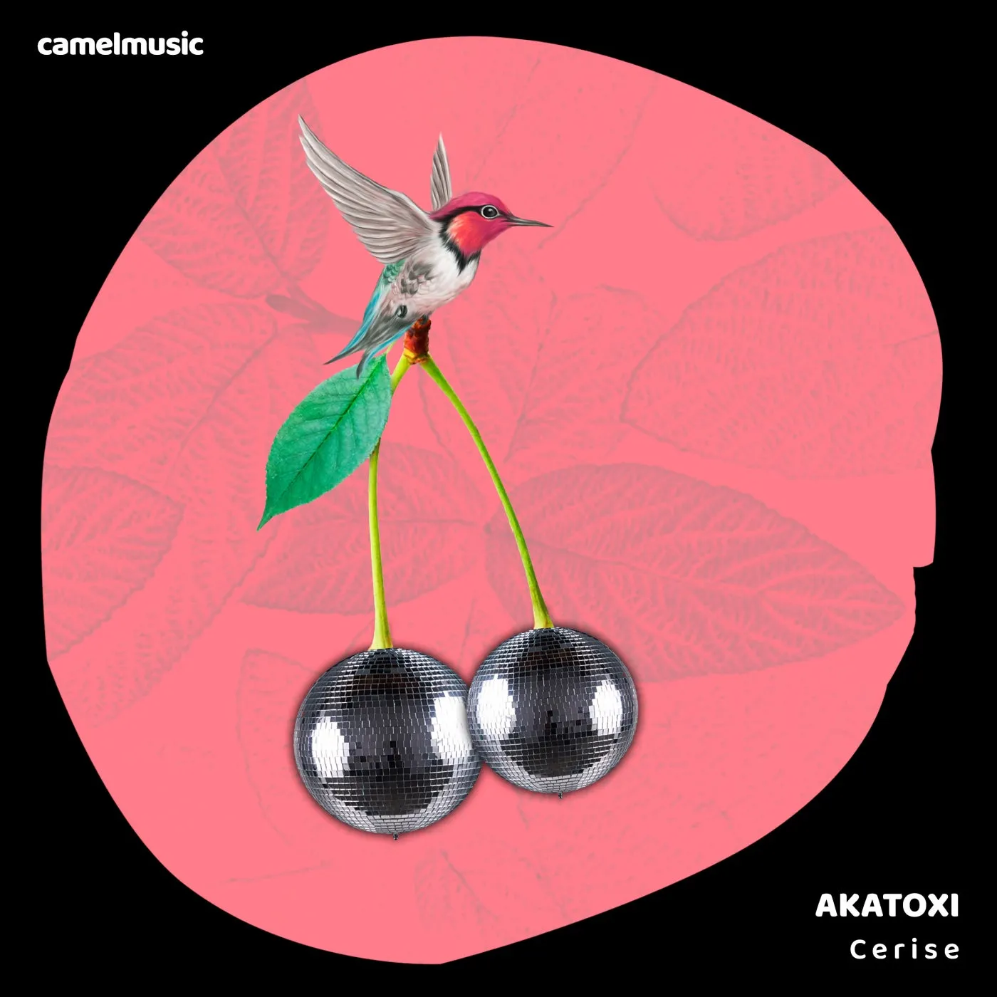 Akatoxi – Cerise