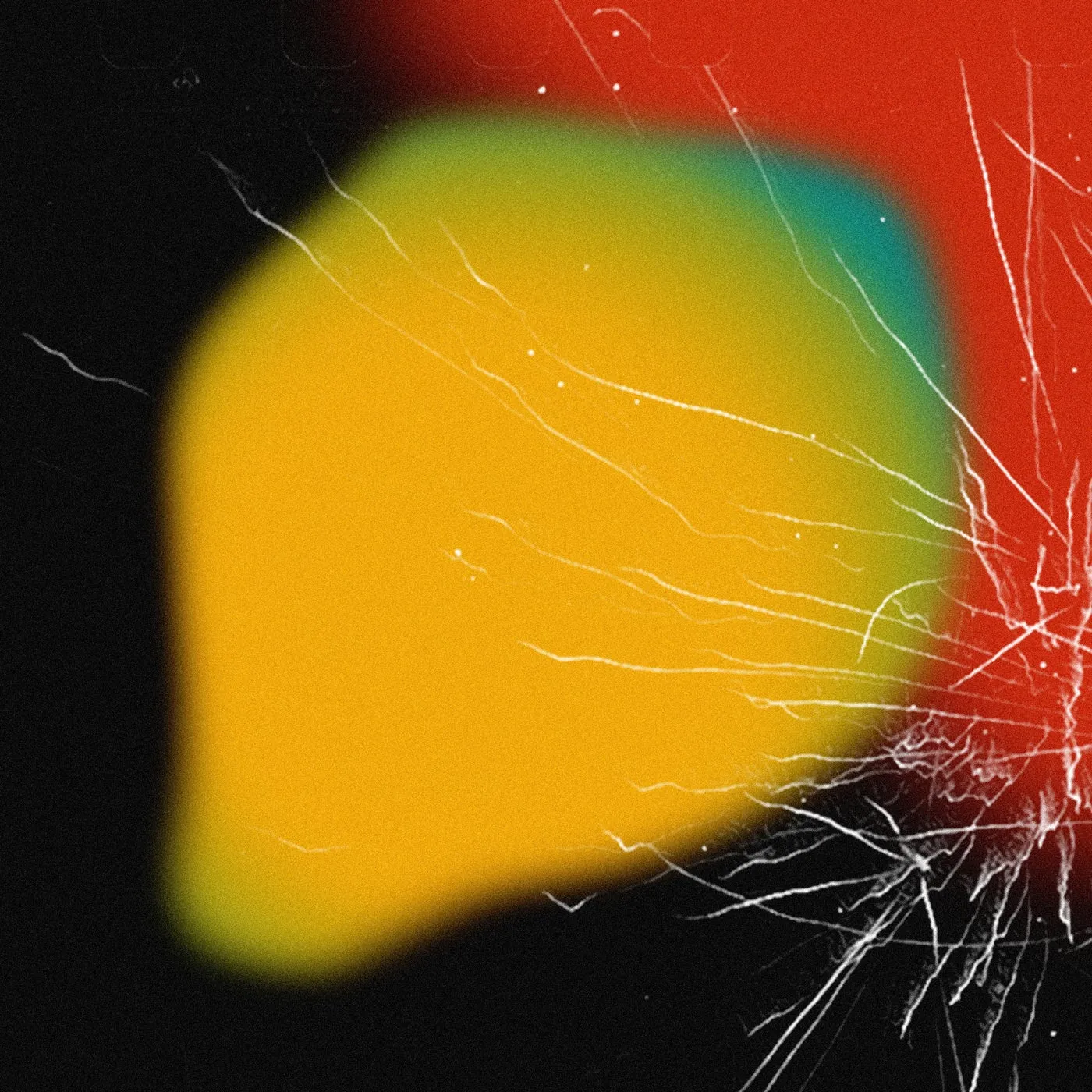 Budakid, EL ZARATE – Pizza Pizza