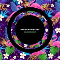 Davide Mentesana - Love Groove EP [BVM023]
