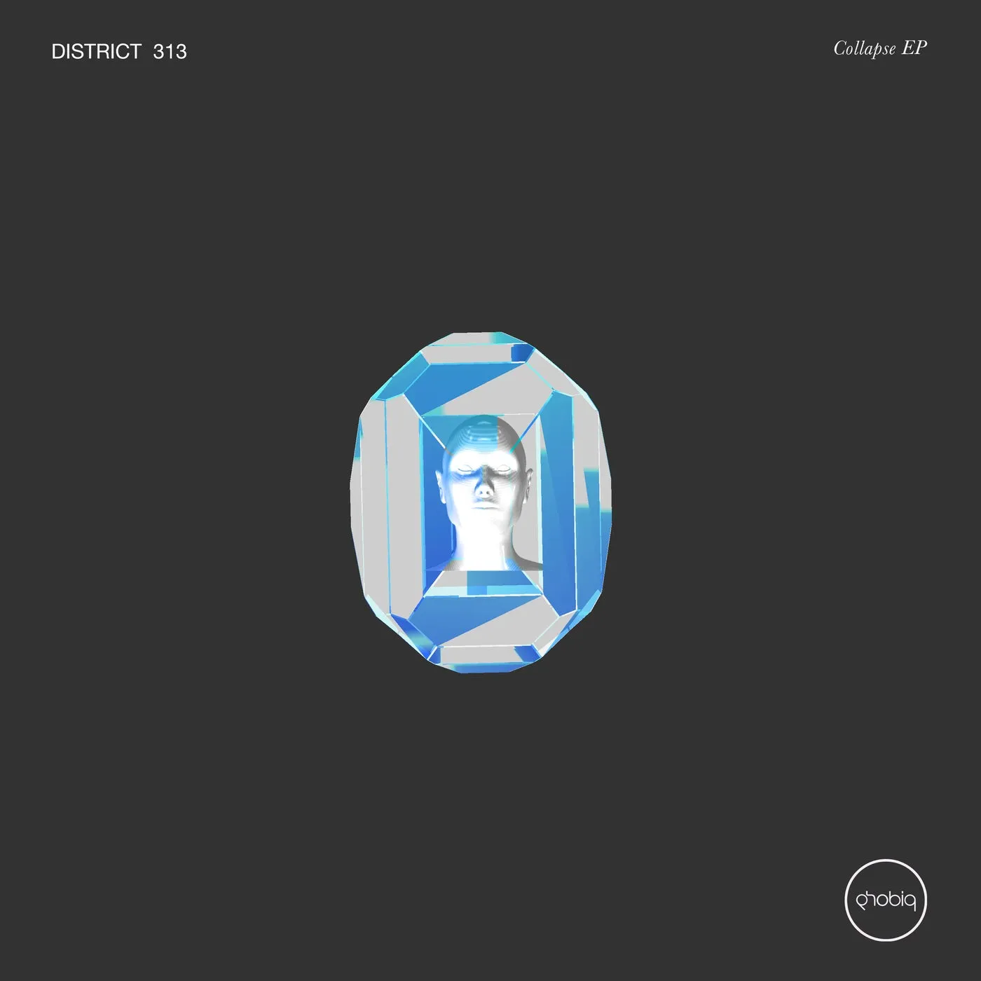 District 313 – Collapse EP