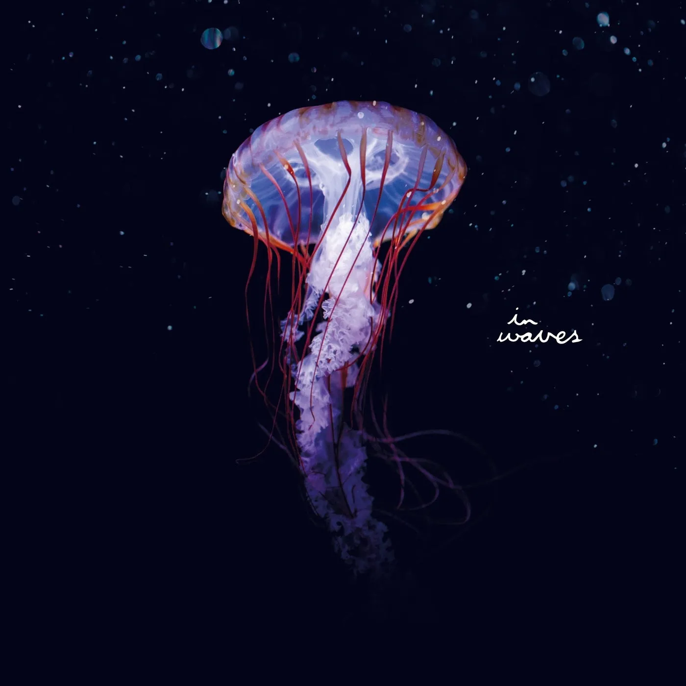 Flowers on Monday – Pirates of the Sun EP