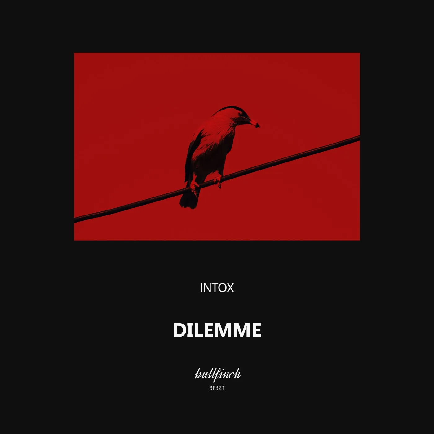 Intox – Dilemme