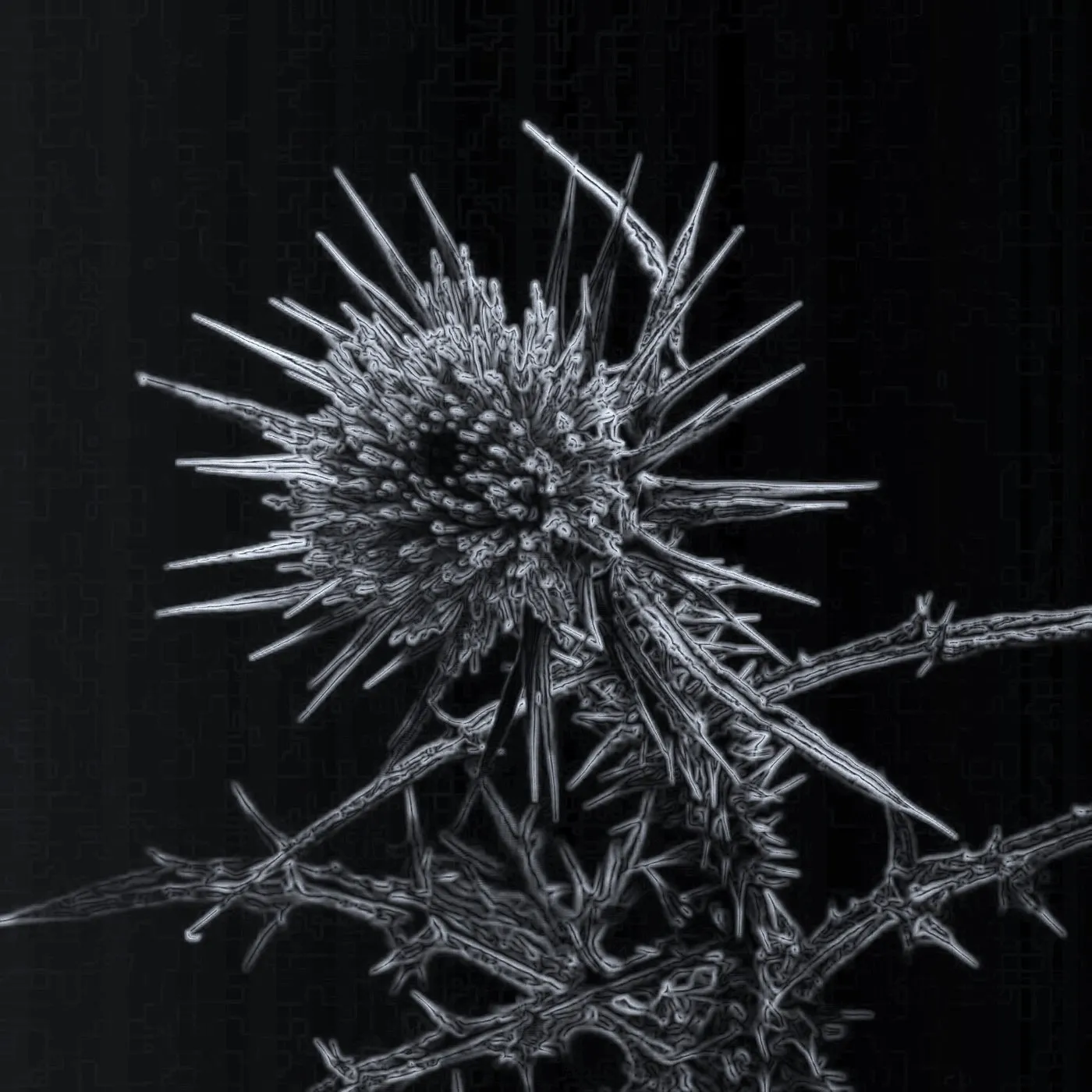 John Tejada – Shattered