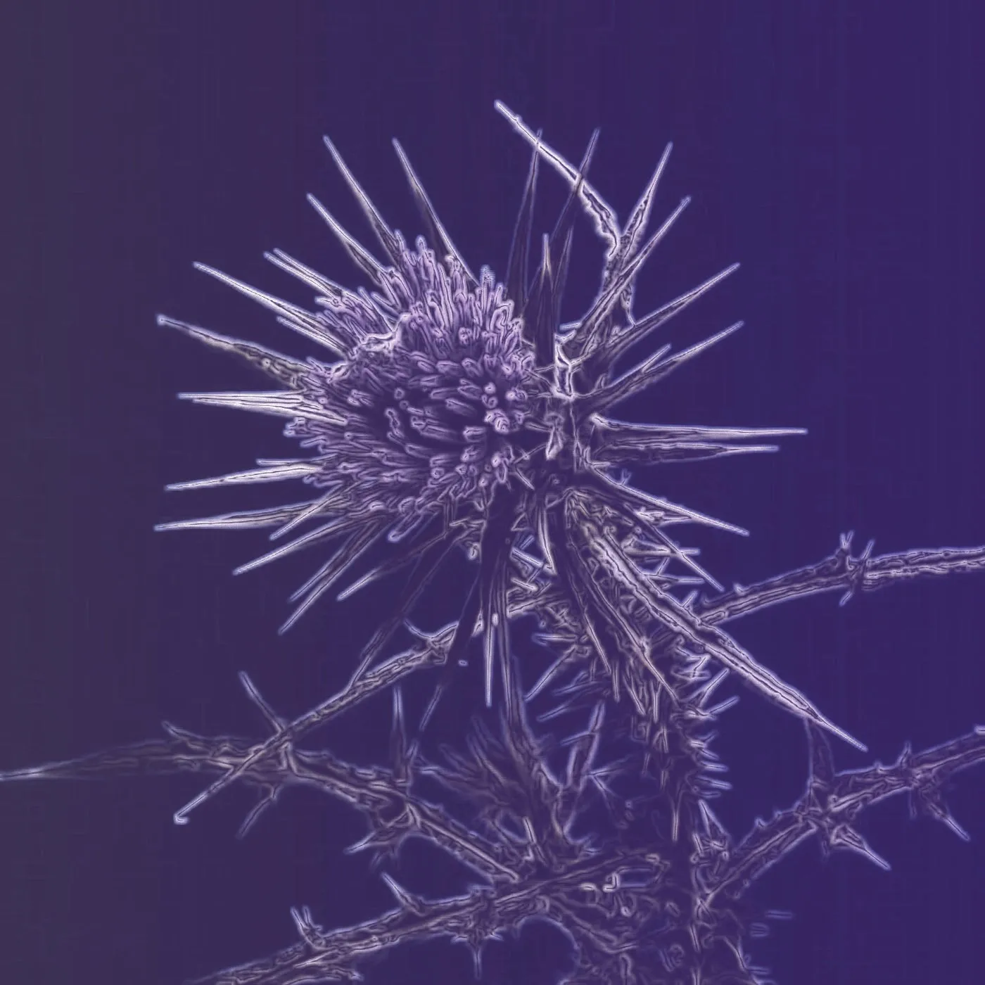 John Tejada – Sleepwalker