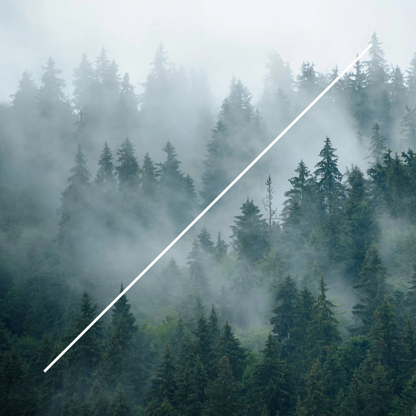 Lucefora – La Danza De Las Castañas (Remixes)