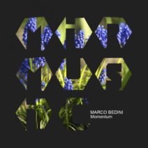 Marco Bedini - Momentum [MIRM095]
