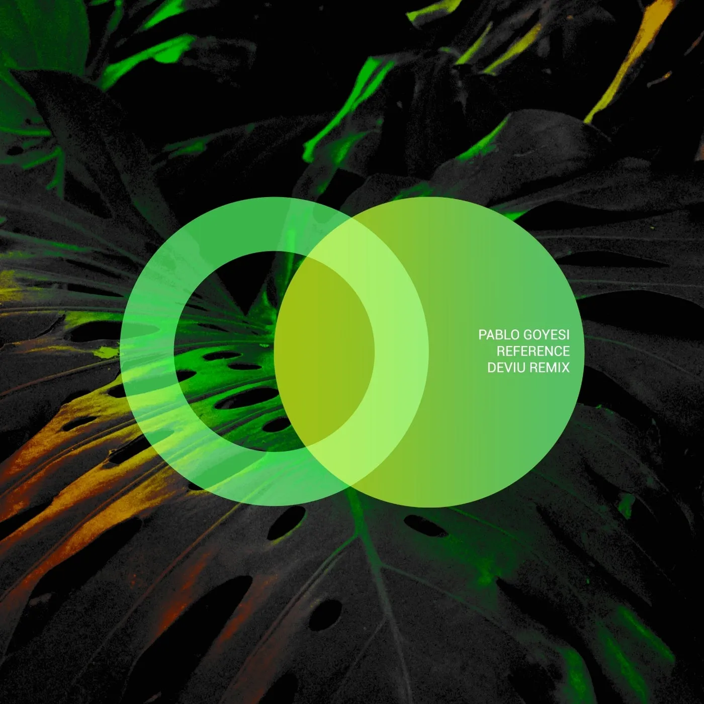 Pablo Goyesi – Reference