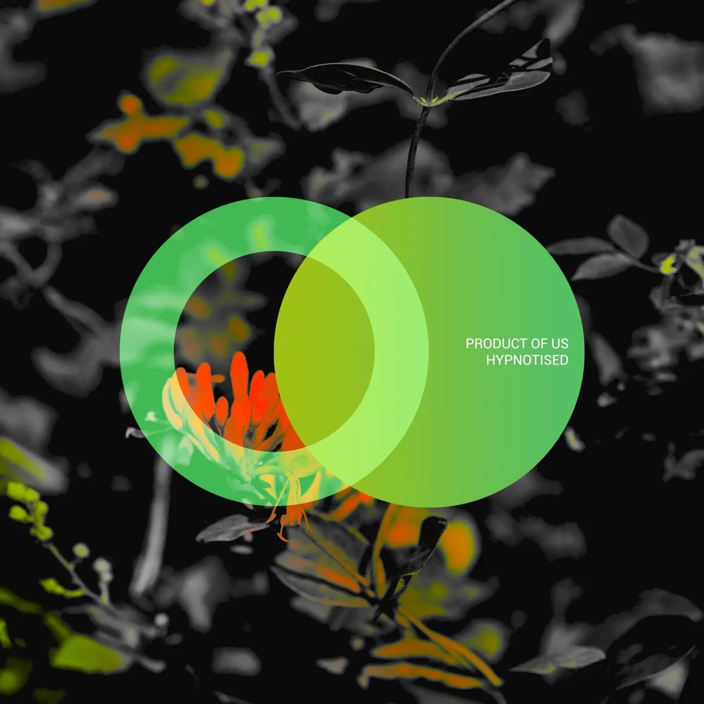 Product Of Us – Hypnotised