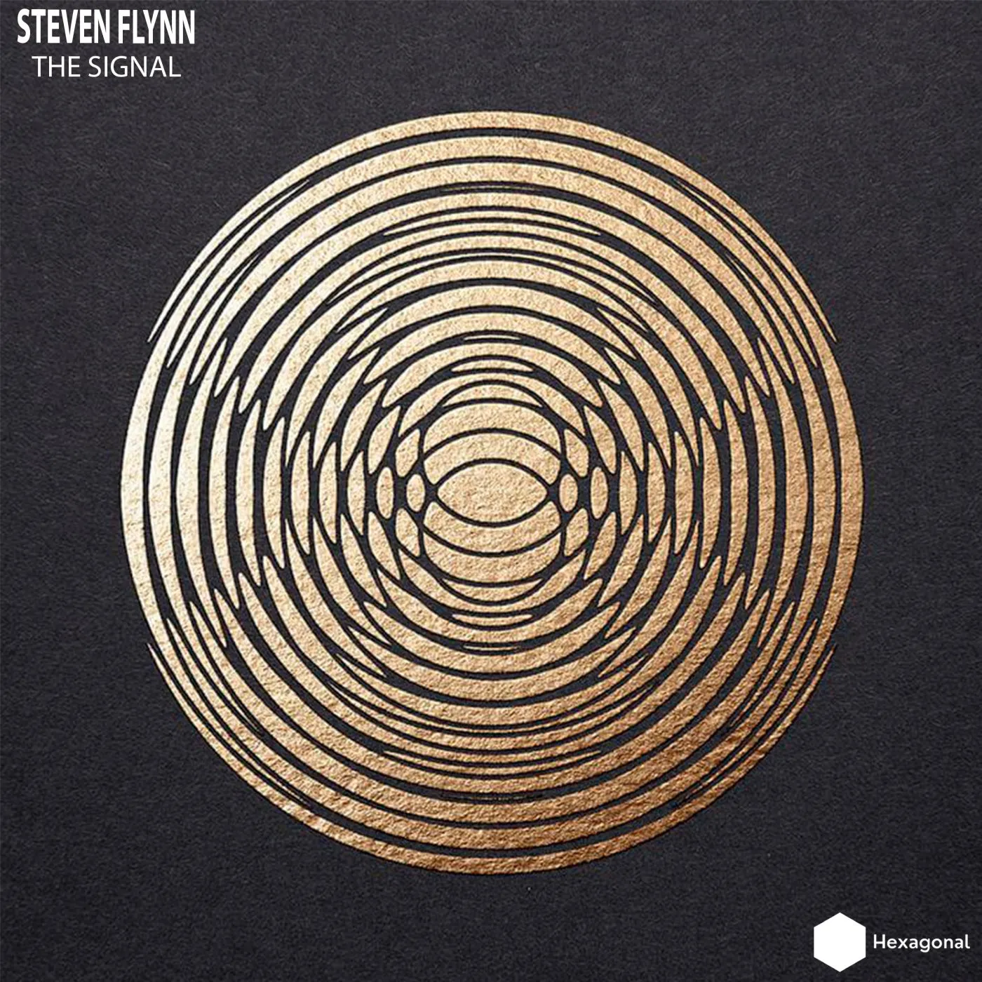 Steven Flynn – The Signal