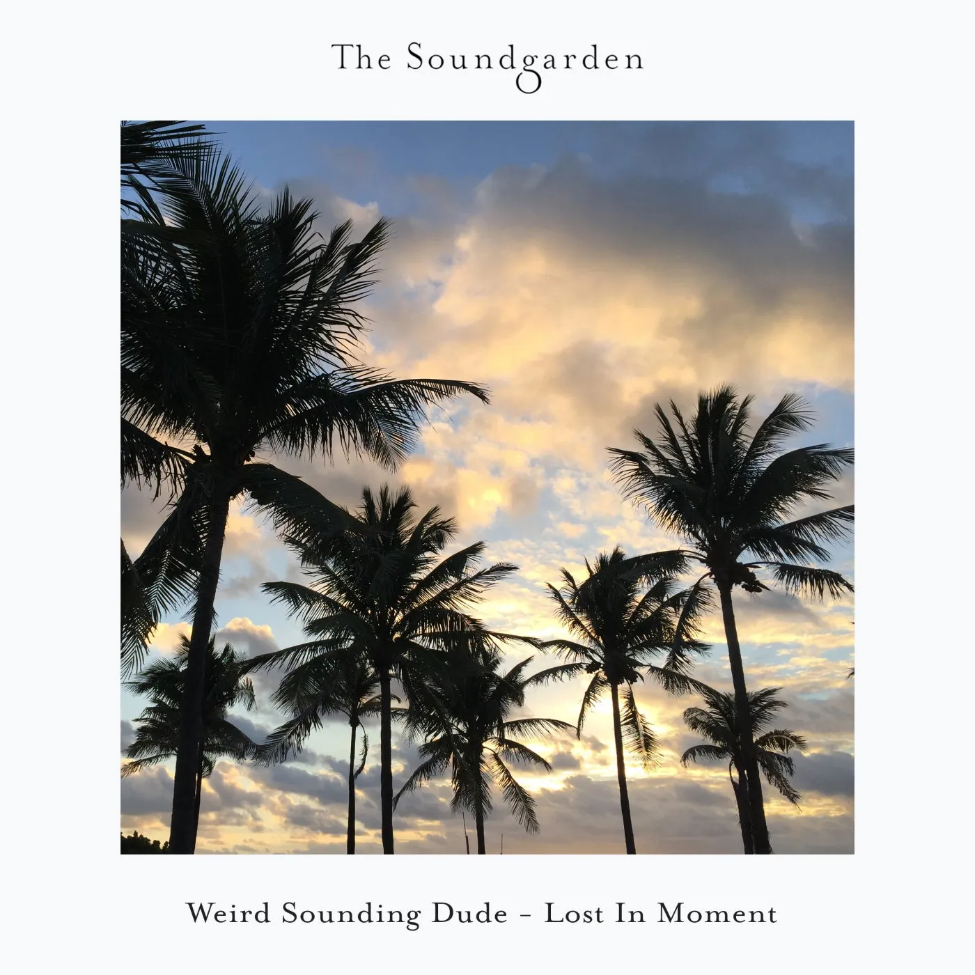 Weird Sounding Dude – Lost In Moment