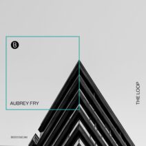 Aubrey Fry - The Loop [BEDDIGI196]