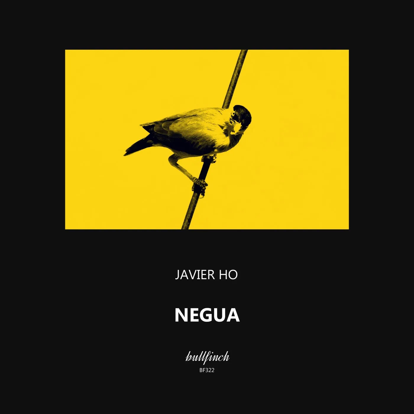 Javier Ho – Negua