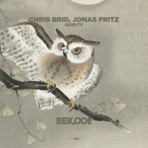 Jonas Fritz, Chris Brid - Oudity [BKR013]
