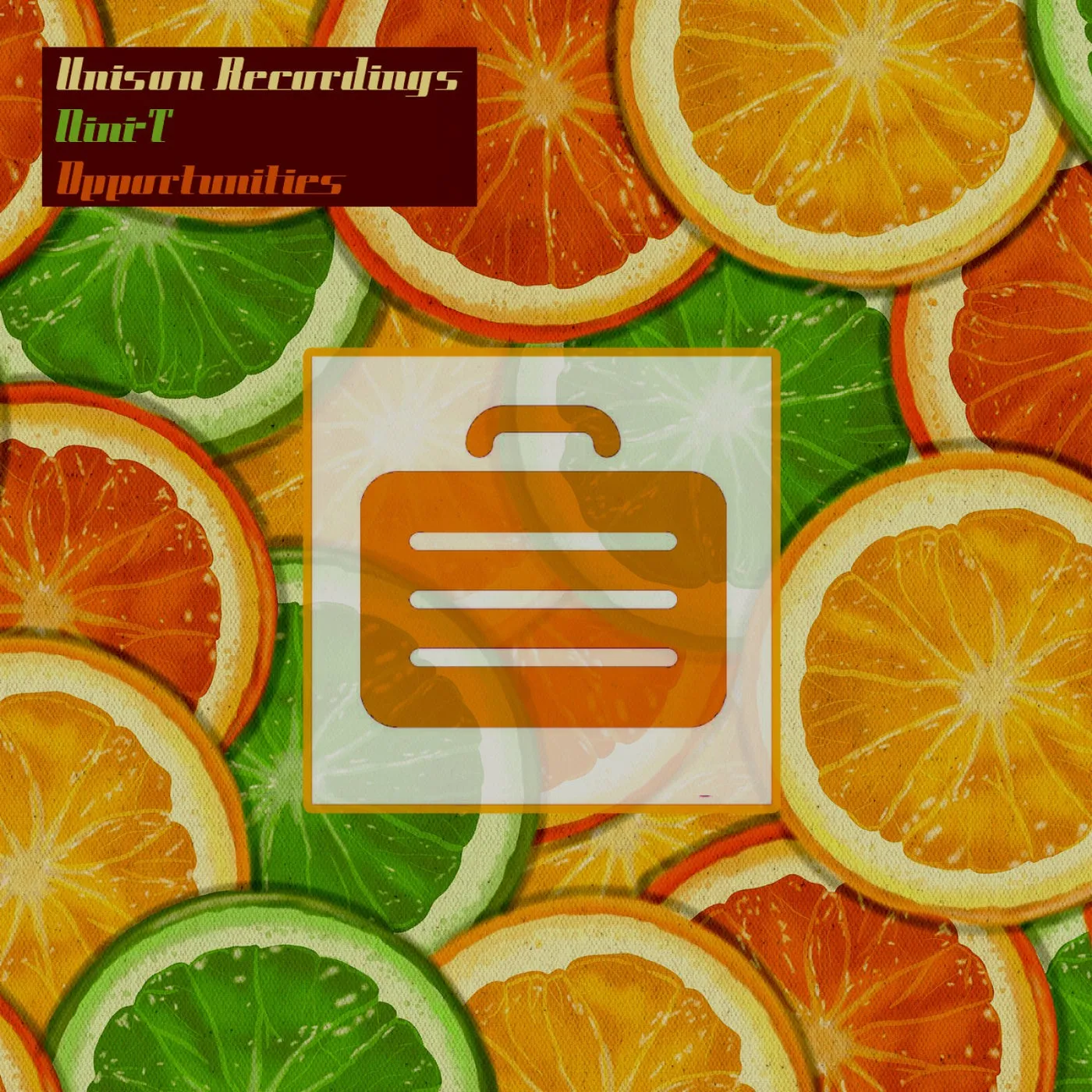 Nini-T – Opportunities