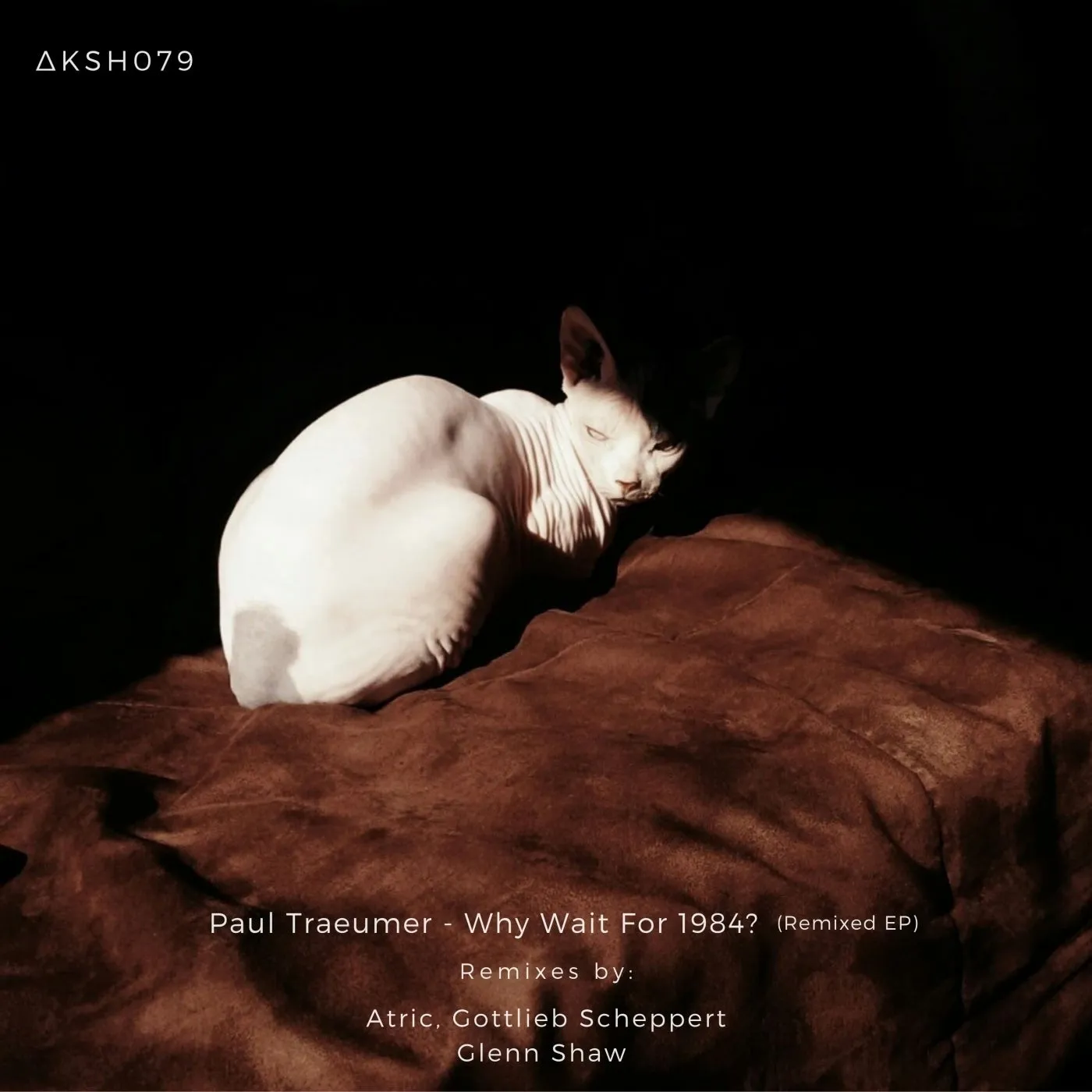 Paul Traeumer, AKASHA MX – Why Wait for 1984 (Remixed)?
