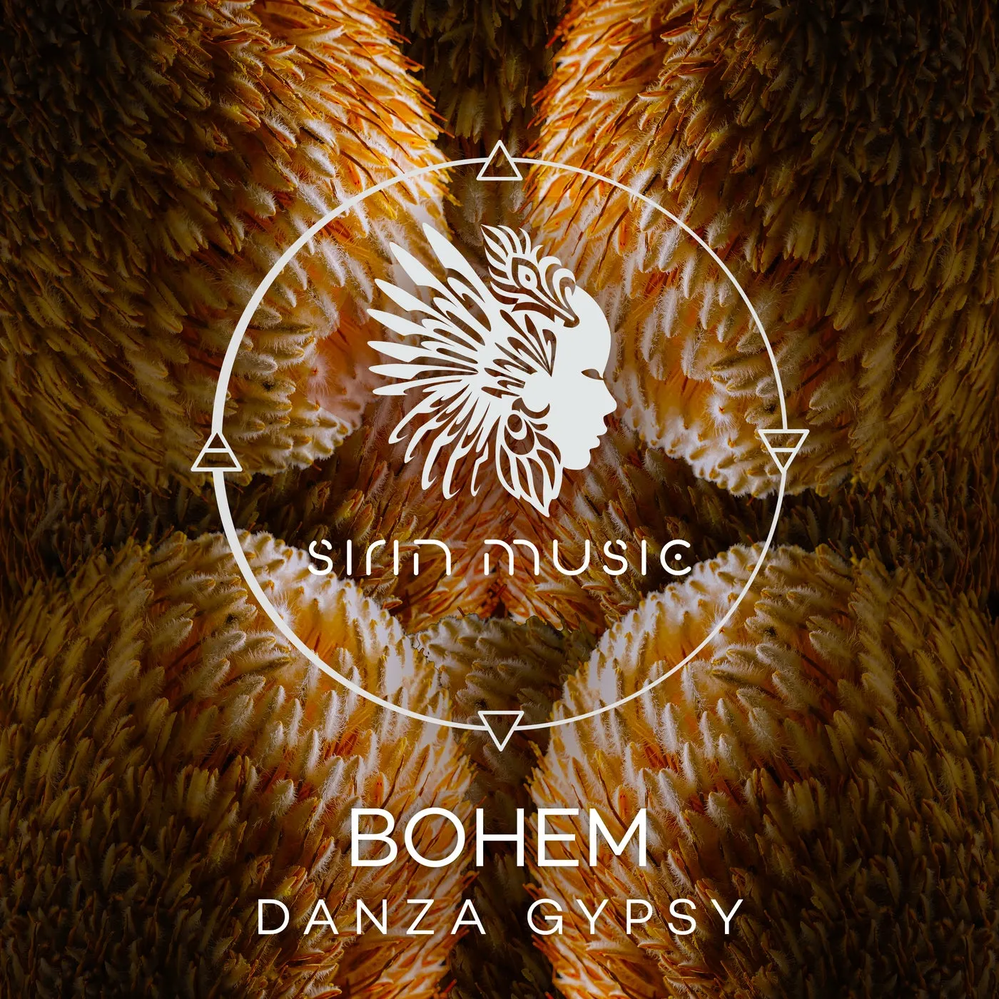 Bohem, Bodaishin, Distic, Manu López Sound – Danza Gypsy