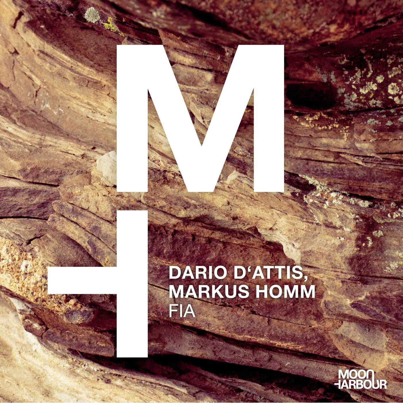 Dario D’Attis, Markus Homm – Fia