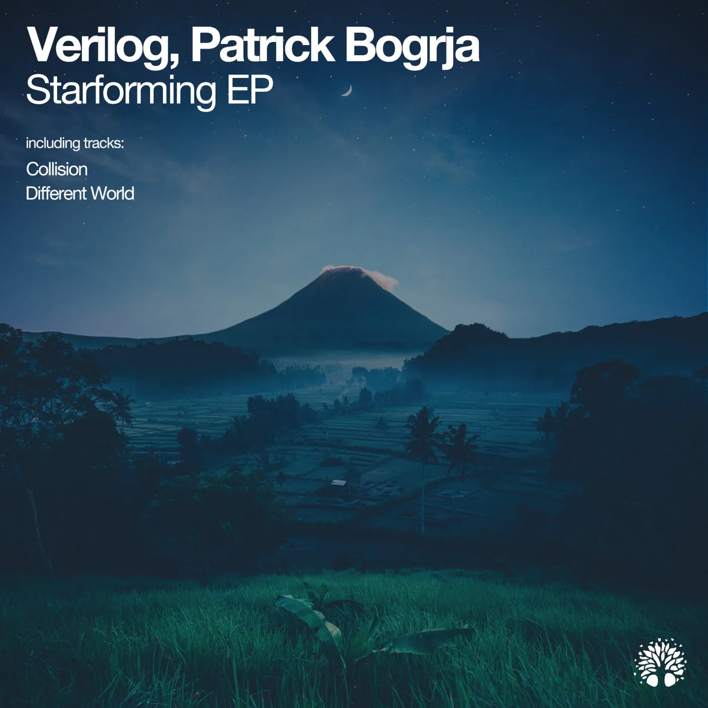 Verilog, Patrick Bogrja – Starforming