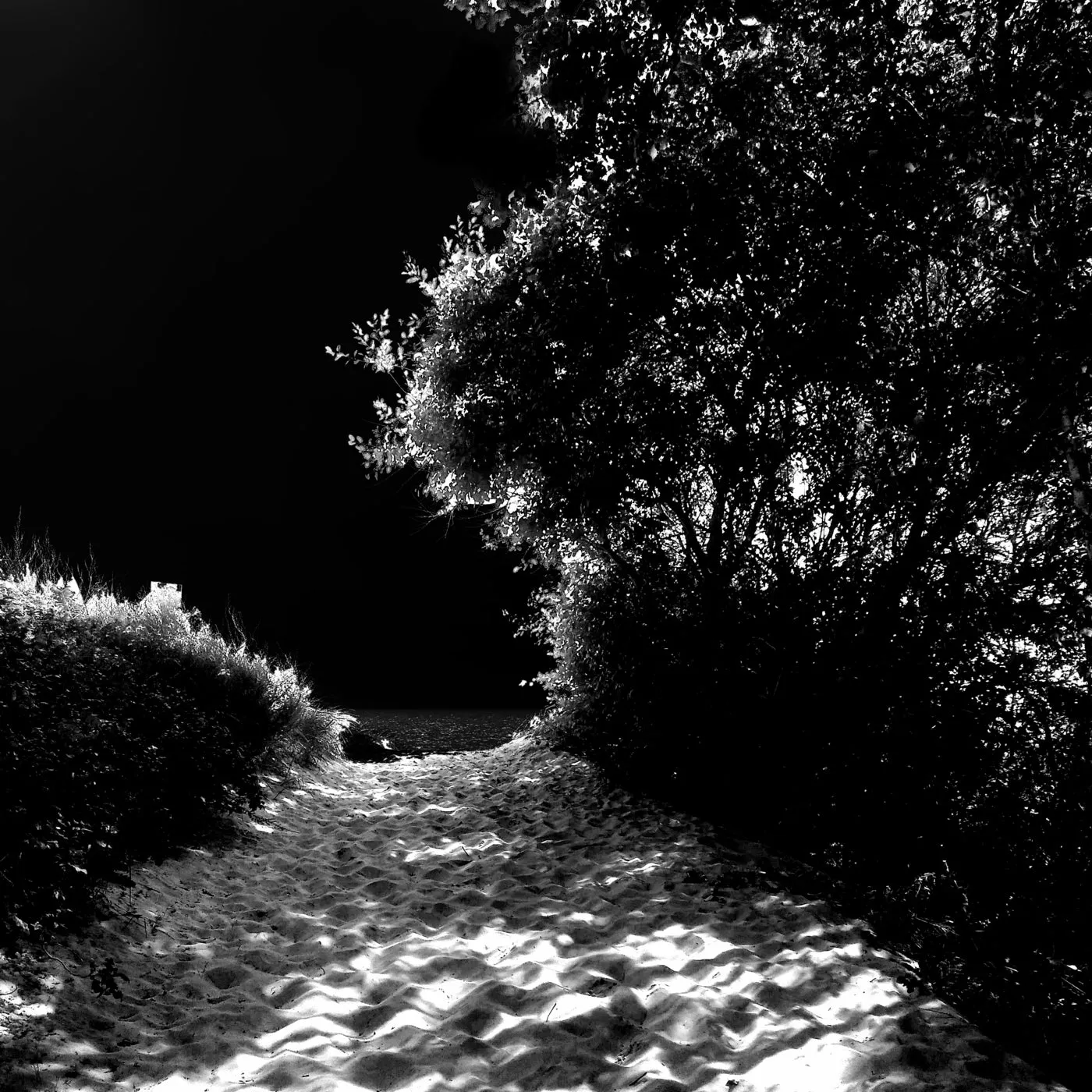 Paul A. George – Trent – Remixes