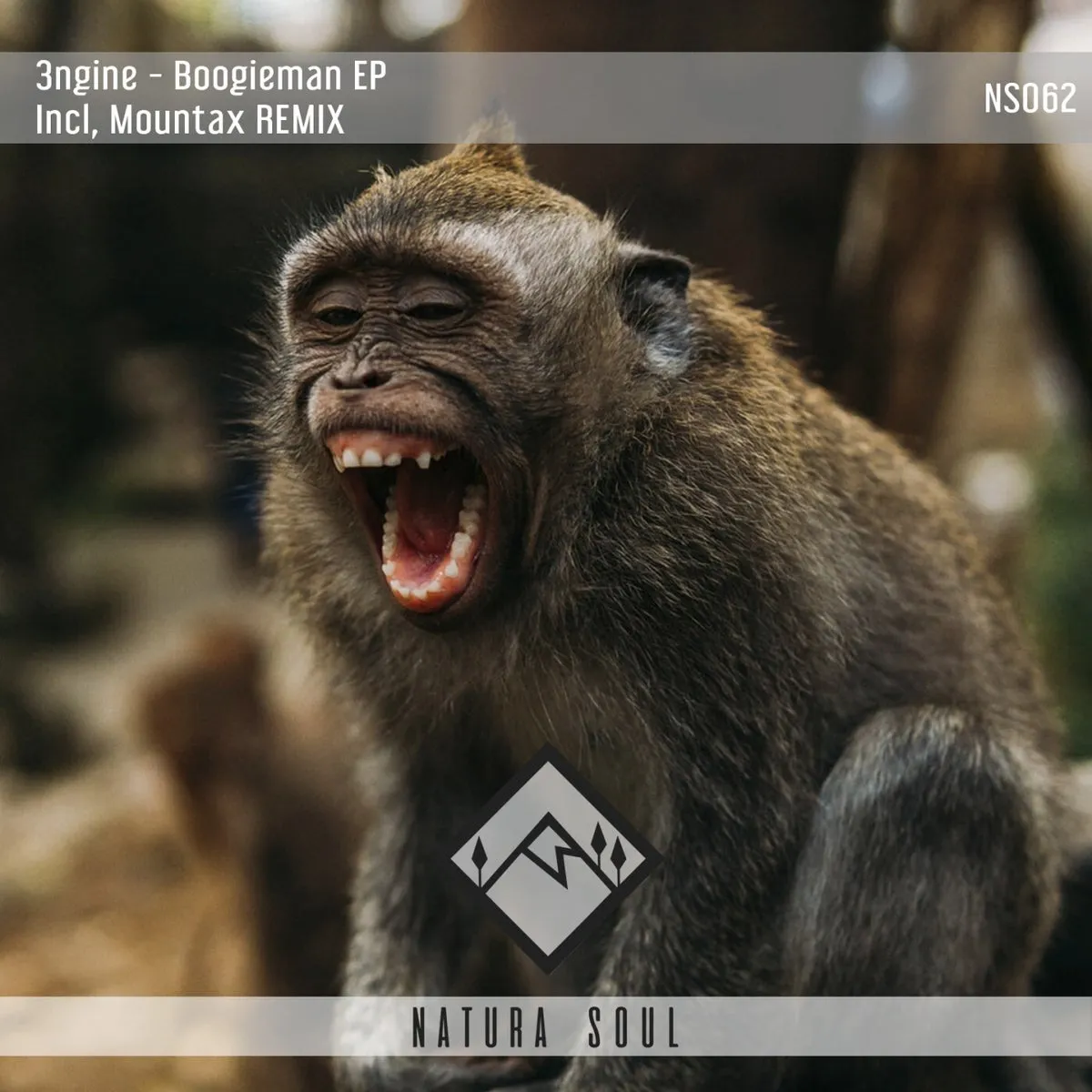 3ngine – Boogieman EP [NS062]