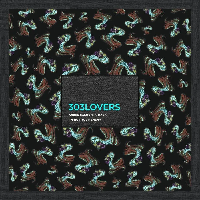 Andre Salmon, K-Mack – I’m Not Your Enemy [303L2233]