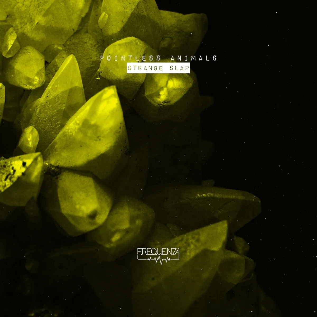Pointless Animals – Strange Slap