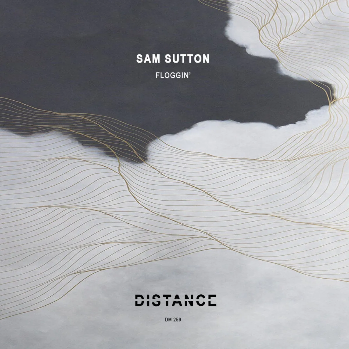 Sam Sutton – Floggin’ EP [DM259]