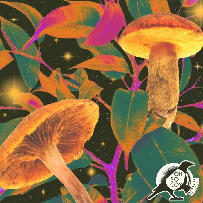 Sex on Decks – Amphibian [OSCR173]