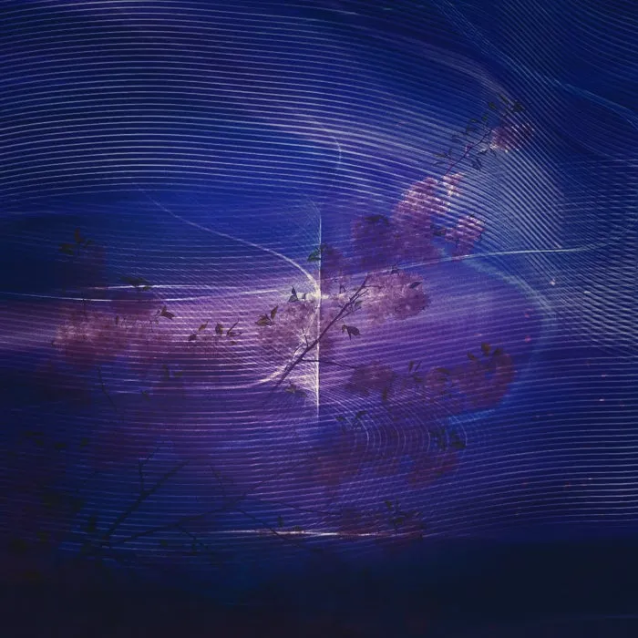 Tim Green, Izhevski – Icicle [FAM007]