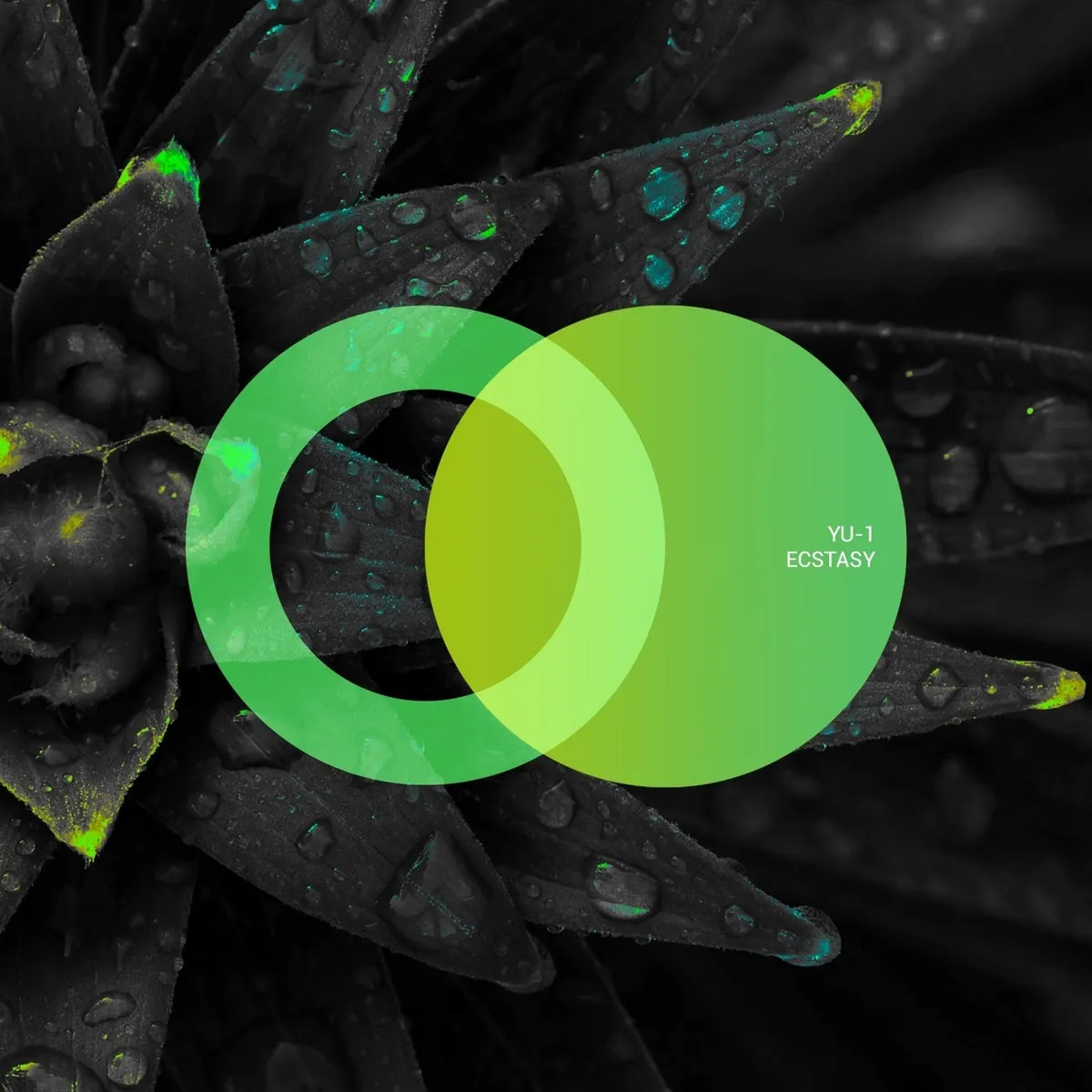 YU-1 – Ecstasy [AVE135]