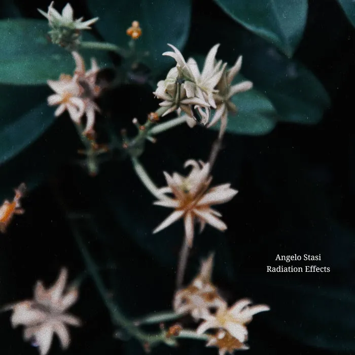 Angelo Stasi - Radiation Effects [EDITSELECT141D]