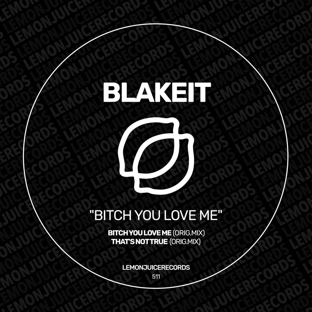 Blakeit - Bitch You Love Me [LJR511]