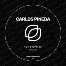 Carlos Pineda - Groovyton [LJR516]
