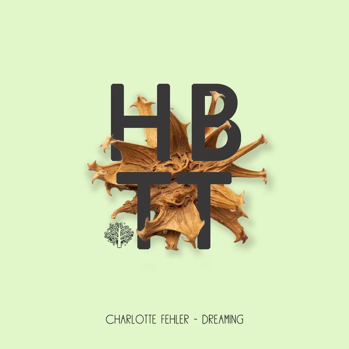 Charlotte Fehler - Dreaming [HBT405]