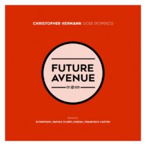 Christopher Hermann - Gobi (Remixes) [FA208]