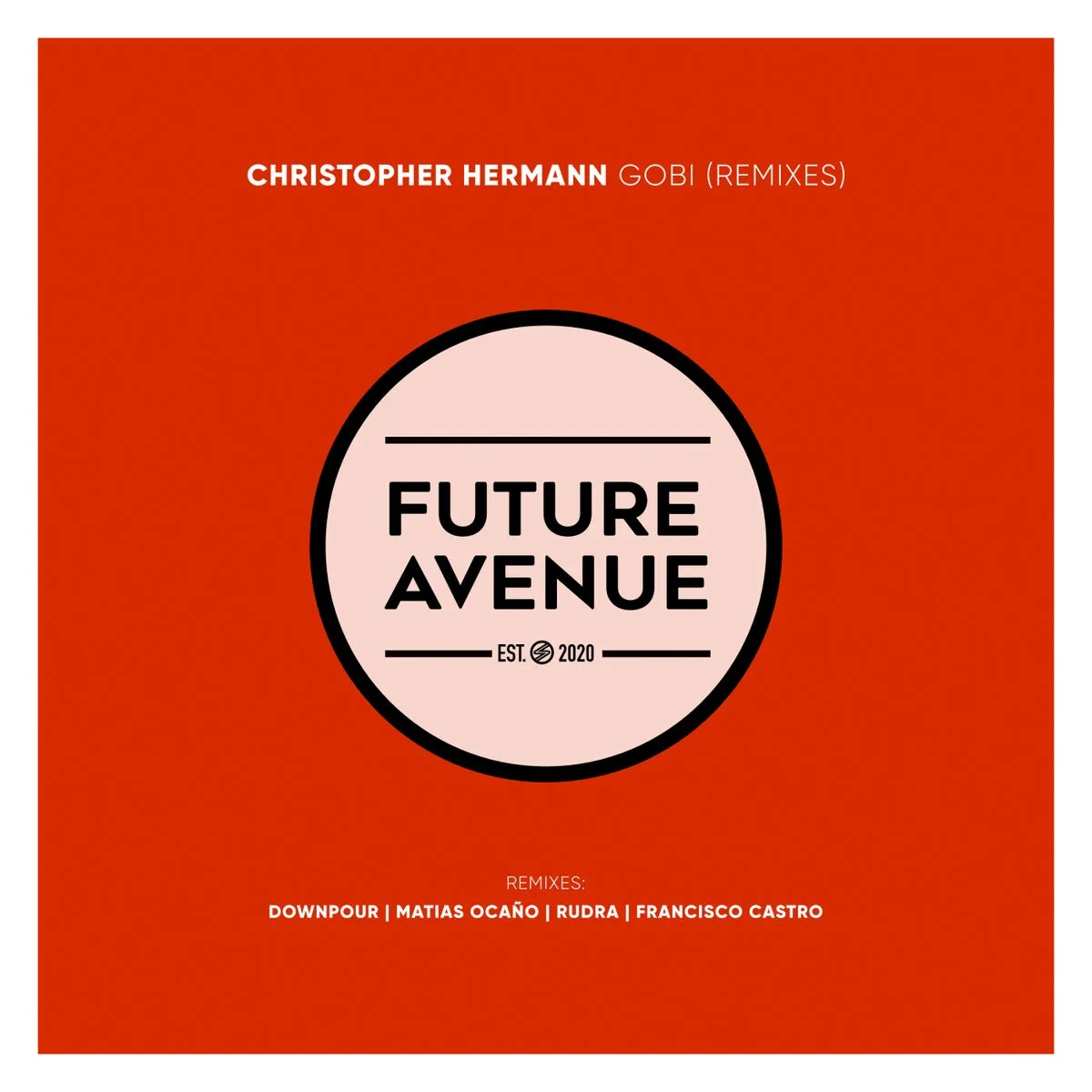 Christopher Hermann - Gobi (Remixes) [FA208]
