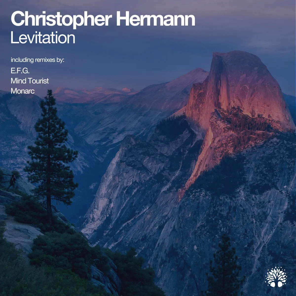 Christopher Hermann – Levitation [ETREE448]