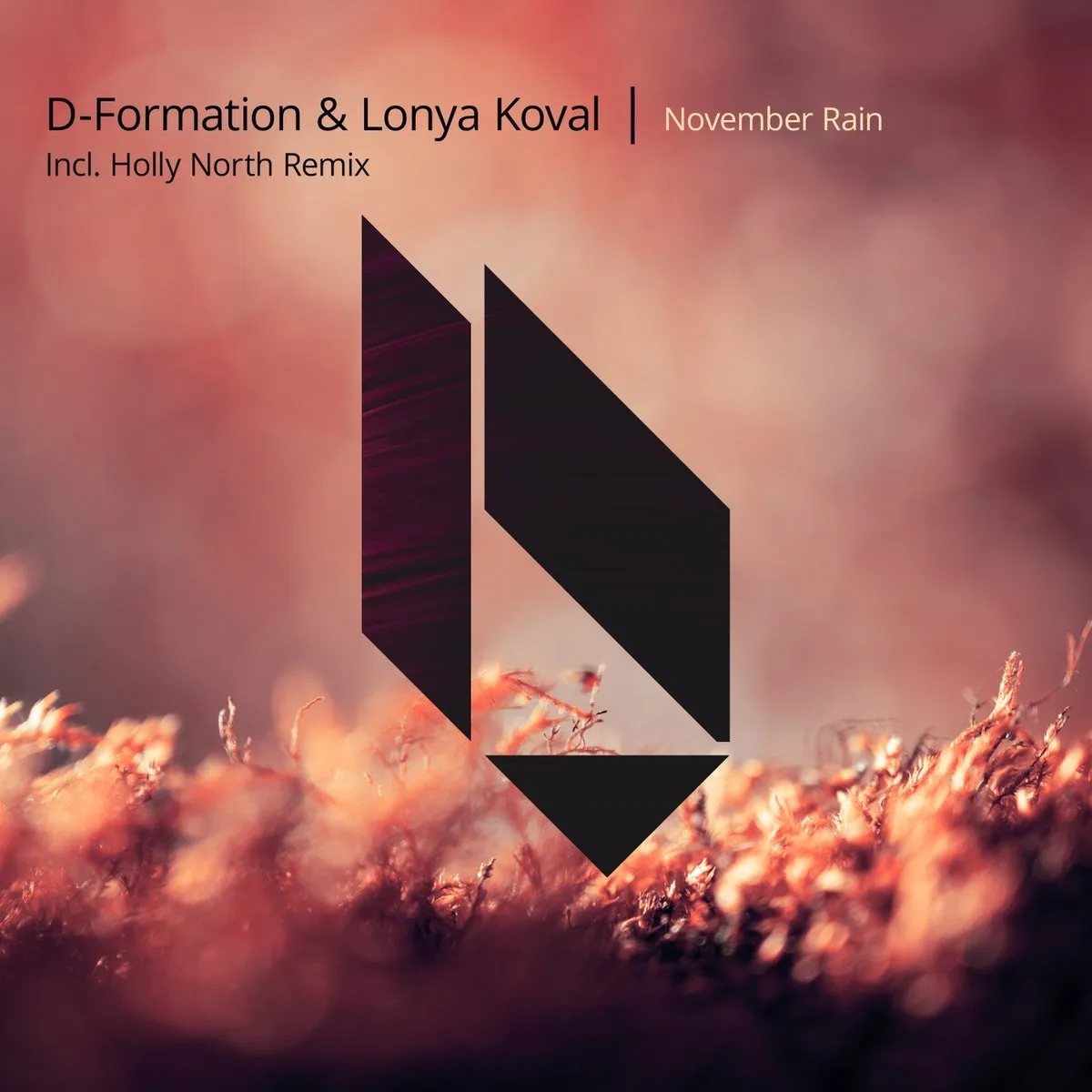 D-Formation, Lonya - November Rain [BF321]