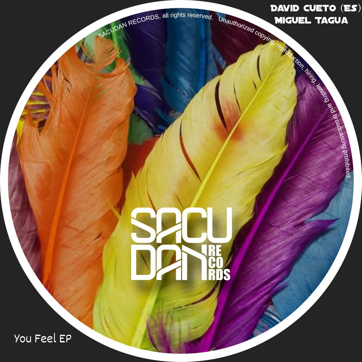 David Cueto (ES), Miguel Tagua - You Feel EP [SR128]