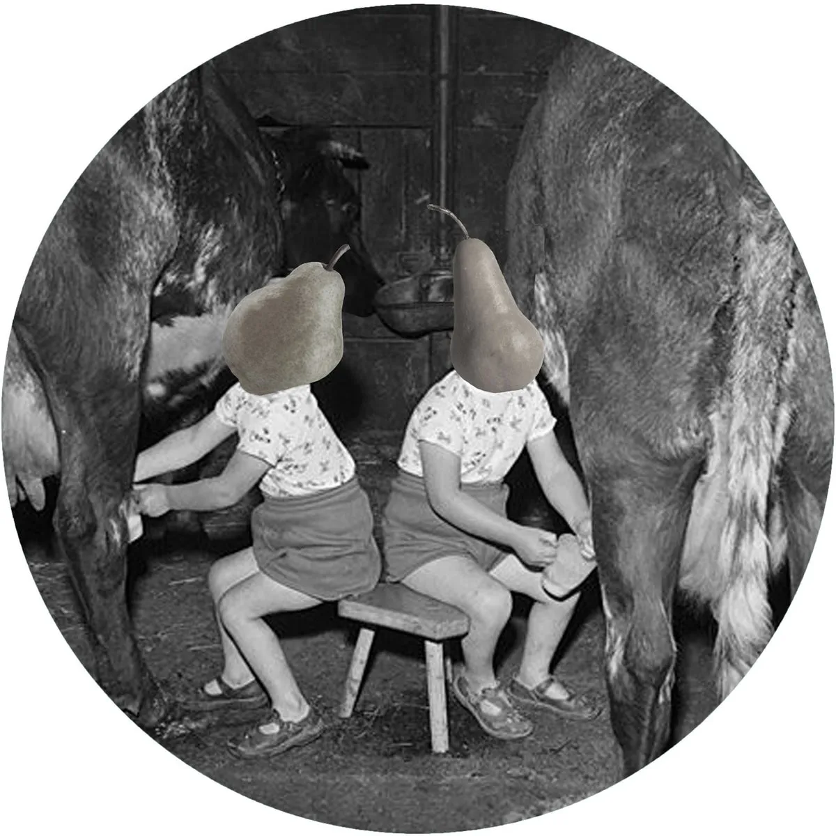 Derek Muller, Ovidi Adlert - Beat the System [PERA223]