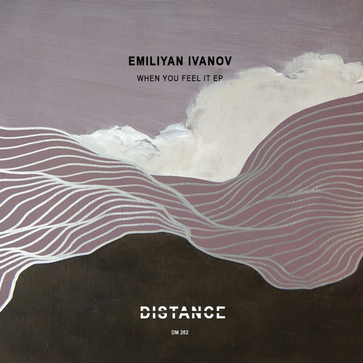 Emiliyan Ivanov, SHENK - When You Feel It EP [DM262]