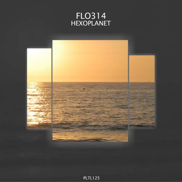 Flo314 - Hexoplanet [PLTL125]