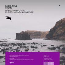 Kabi (AR), Polo (AR) - Cromo [ALLEY190]
