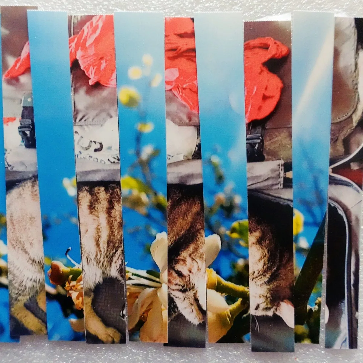 Robert Babicz - Kelch 1 [KELCH1]