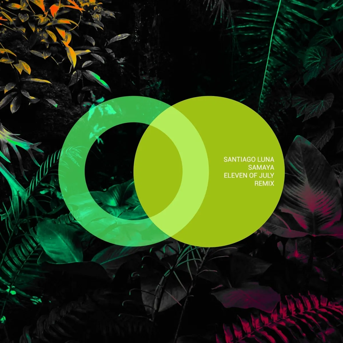 Santiago Luna - Samaya [AVE140]