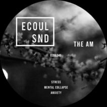 The AM - Stress [ECOUL040]