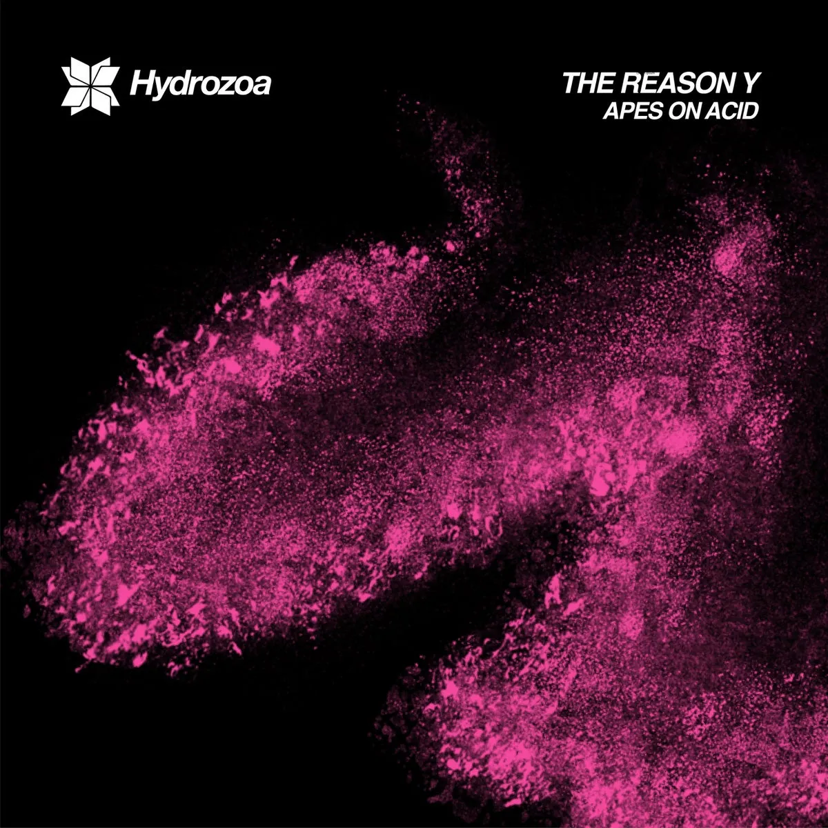 The Reason Y – Apes On Acid [HDRZ063]