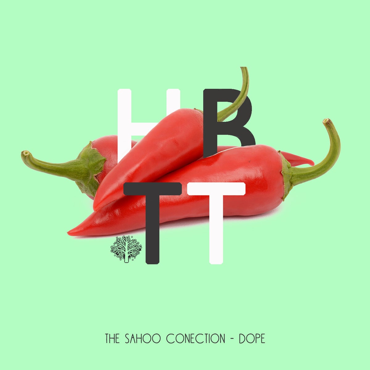 The Sahoo Conection - DOPE [HBT404]