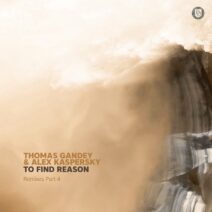 Thomas Gandey, Alex Kaspersky - To Find Reason (Remixes Part 4) [DD231]